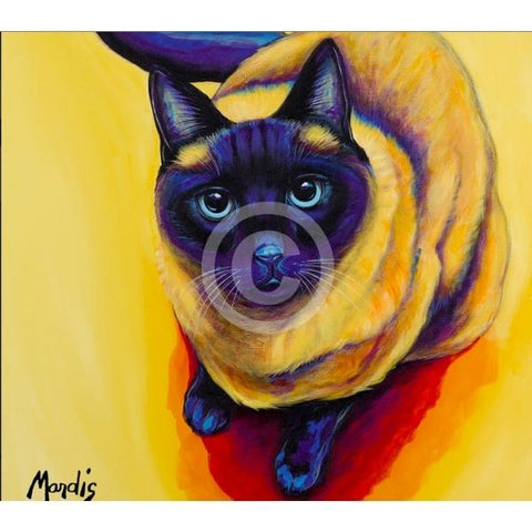 KAHLUA-Cat by Michelle Mardis - PoP x HoyPoloi Gallery