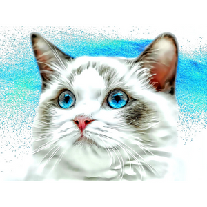 CATS - Kitty Blue Appreciation by Alan Foxx - PoP x HoyPoloi Gallery