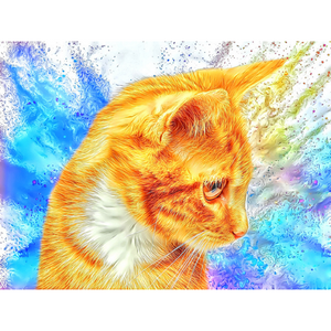 CATS - Kitty Ginger Precious by Alan Foxx - PoP x HoyPoloi Gallery