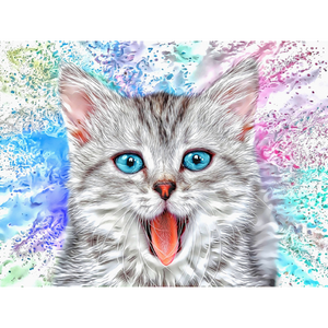 CATS - Kitty Gray Joy by Alan Foxx - PoP x HoyPoloi Gallery
