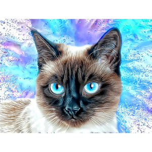 CATS - Kitty Siamese Precious by Alan Foxx - PoP x HoyPoloi Gallery