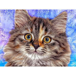 CATS - Kitty Siberian Affectiona by Alan Foxx - PoP x HoyPoloi Gallery