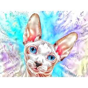 CATS - Kitty Sphynx by Alan Foxx - PoP x HoyPoloi Gallery