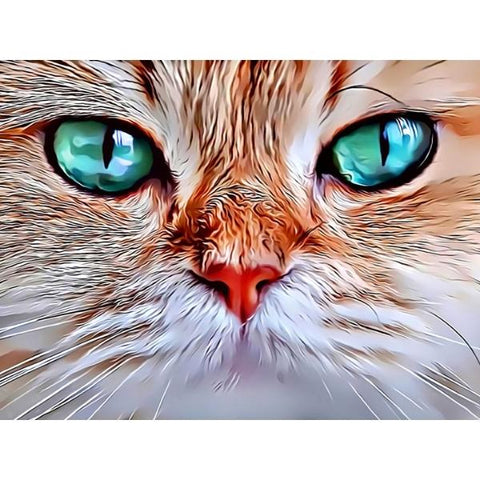 CATS-Kitty Style by Alan Foxx - PoP x HoyPoloi Gallery