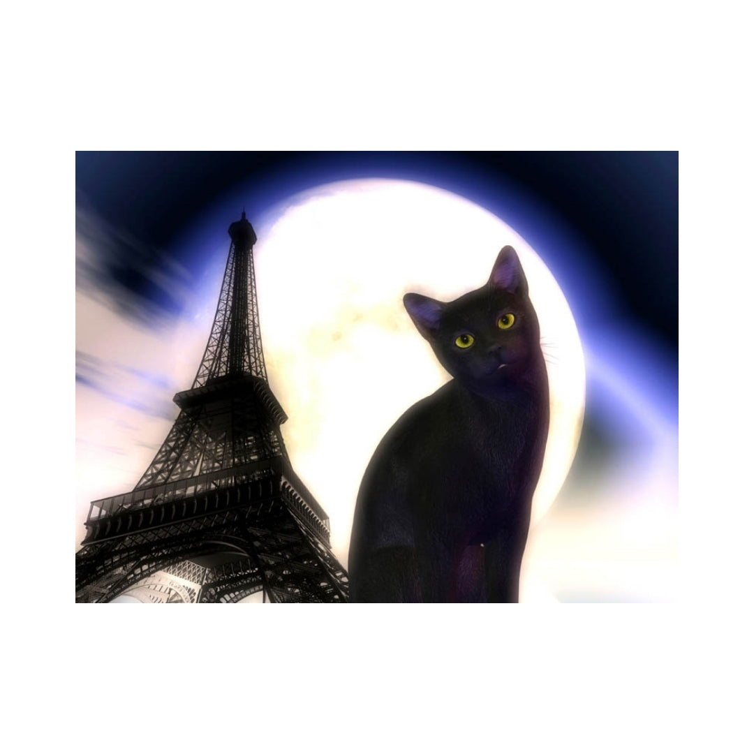 CATS-Kitty in Paris by Alan Foxx - PoP x HoyPoloi Gallery