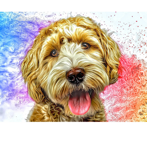 DOGS - Labradoodle Smile by Alan Foxx - PoP x HoyPoloi Gallery