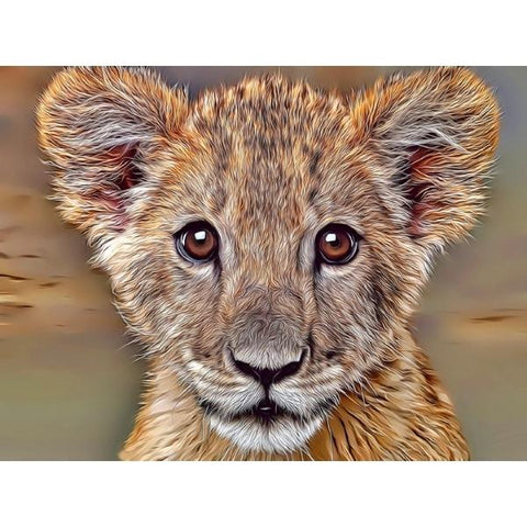 LIONS-Lion Cub Reflections by Alan Foxx - PoP x HoyPoloi Gallery