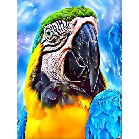 BIRDS-Parrot Fancy by Alan Foxx - PoP x HoyPoloi Gallery