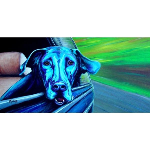 PET BENEFITS-Black Lab by Michelle Mardis - PoP x HoyPoloi Gallery