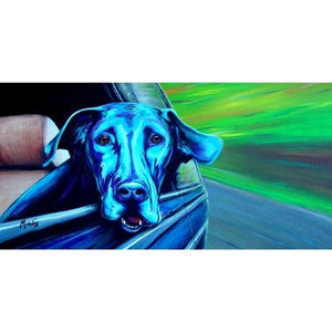 PET BENEFITS-Black Lab by Michelle Mardis - PoP x HoyPoloi Gallery