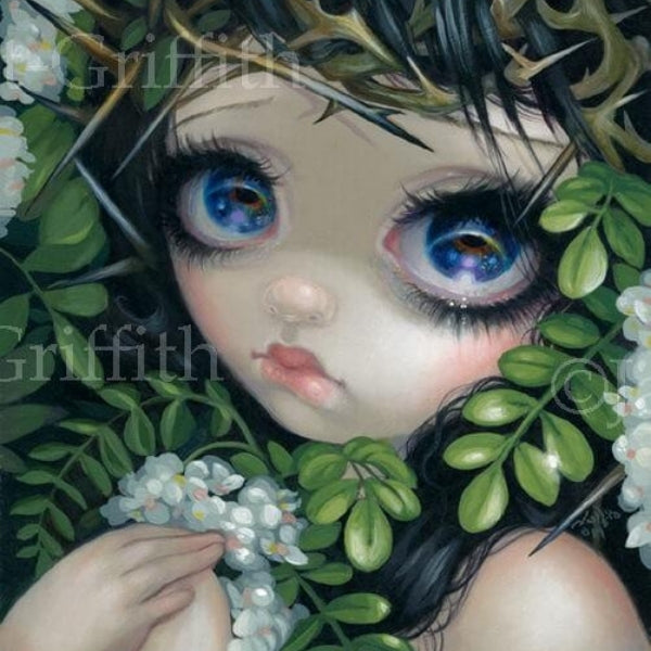 Poisonous Beauties XII:Black Locust by Jasmien Becket Griffith