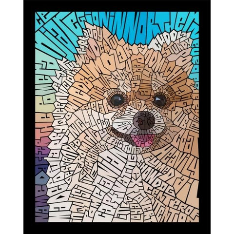 DOG-POMERANIAN by Curtis Epperson - PoP x HoyPoloi Gallery