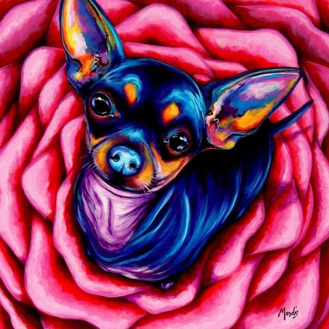 ROSEBUD-Chihuahua by Michelle Mardis - PoP x HoyPoloi Gallery