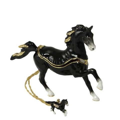 BLACK STALLION - PoP x HoyPoloi Gallery