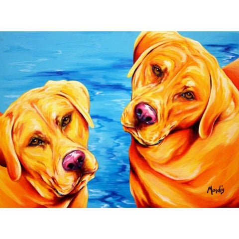 SEEING DOUBLE 2-Labs by Michelle Mardis - PoP x HoyPoloi Gallery