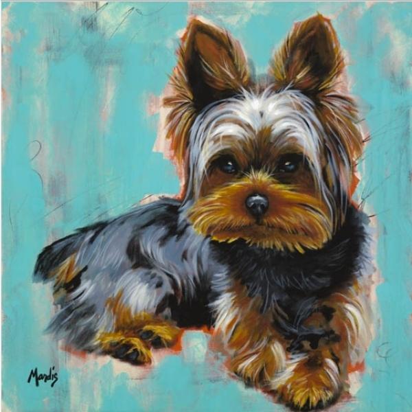 SUNNY-Yorkie by Michelle Mardis - PoP x HoyPoloi Gallery