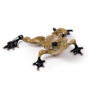 TOADY - PoP x HoyPoloi Gallery