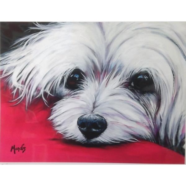 TRIXIE-Maltese by Michelle Mardis - PoP x HoyPoloi Gallery