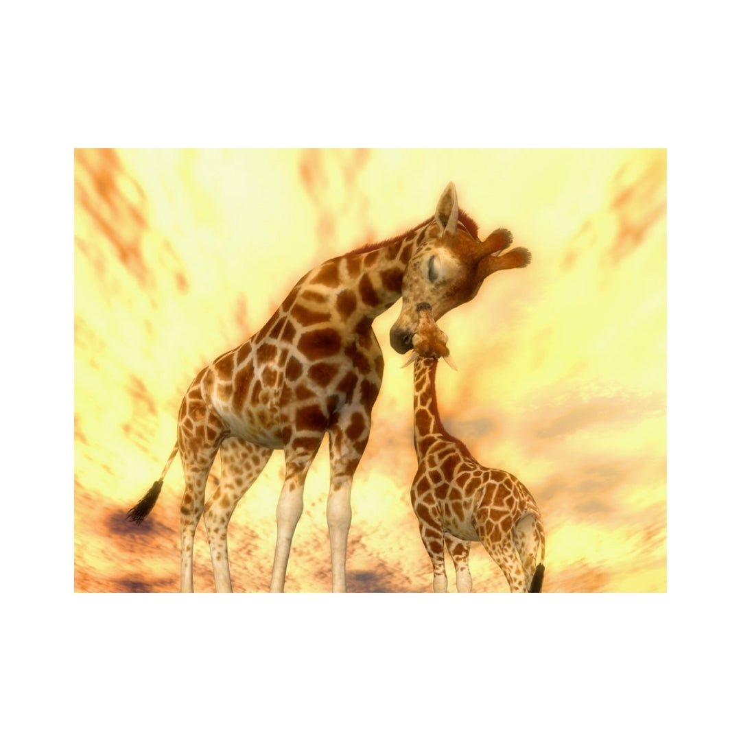 GIRAFFES-Baby Giraffe Admire by Alan Foxx - PoP x HoyPoloi Gallery