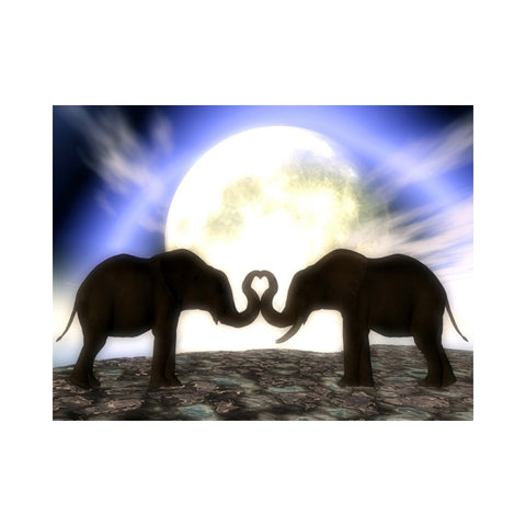 ELEPHANTS- Elephants in Love in the Moonlight by Alan Foxx - PoP x HoyPoloi Gallery