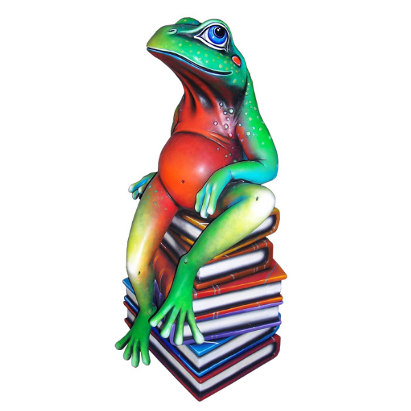 FROG BOOK CLUB - PoP x HoyPoloi Gallery