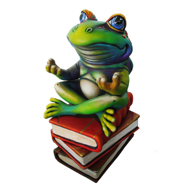 FROG BOOK CLUB - PoP x HoyPoloi Gallery