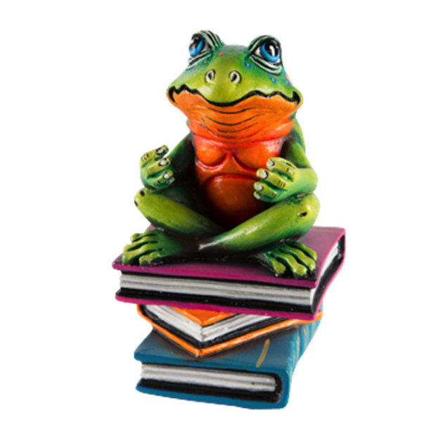 FROG BOOK CLUB - PoP x HoyPoloi Gallery