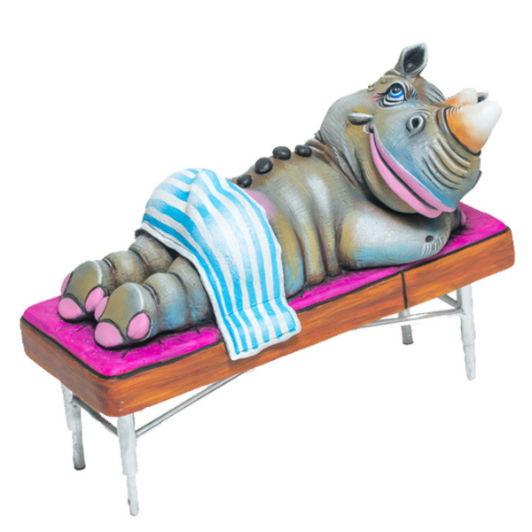 Rhino Spa Day by Carlos and Albert